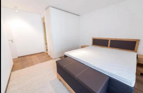 Luxorius living in the heart of St. Moritz Dorf